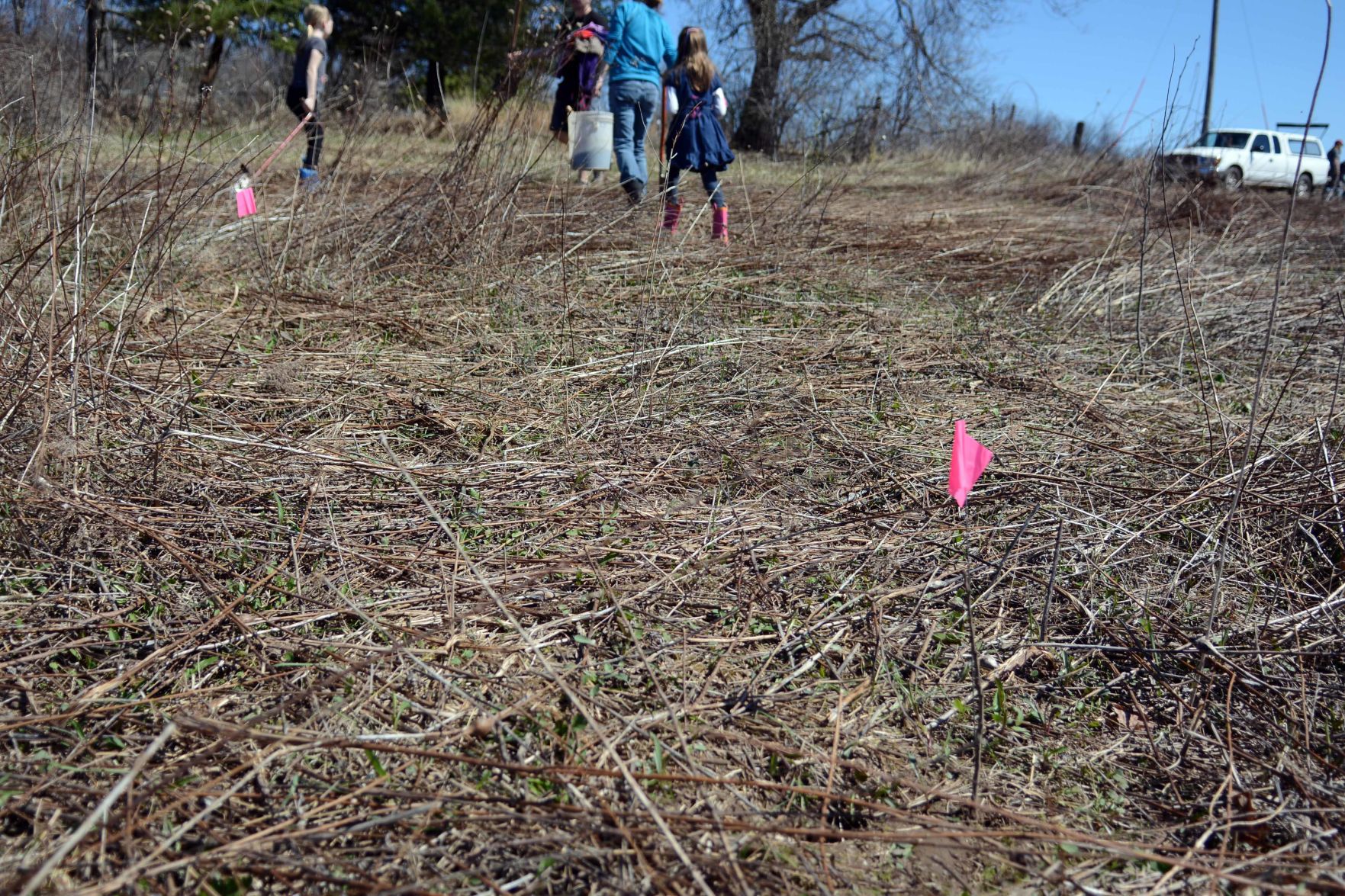 Earth Day tree planting in Baraboo Hills, April 20